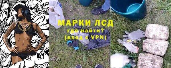 ECSTASY Алзамай