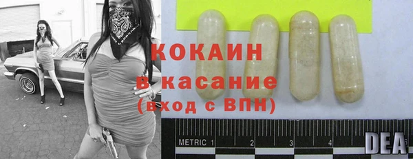 шишки Аркадак