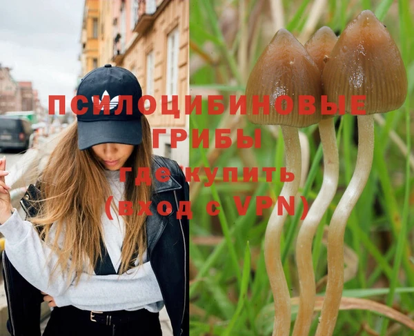 шишки Аркадак