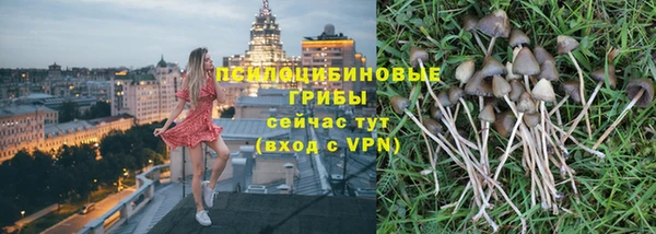 ECSTASY Алзамай