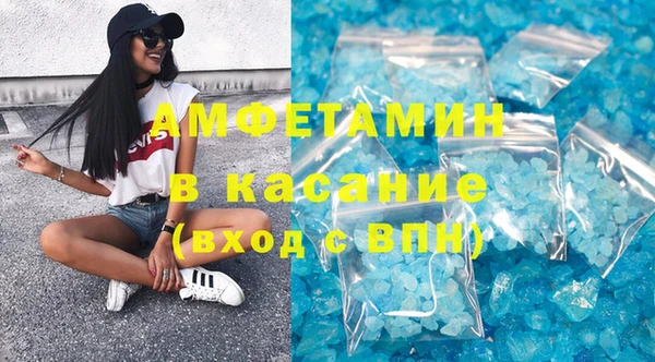 шишки Аркадак