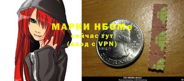 шишки Аркадак