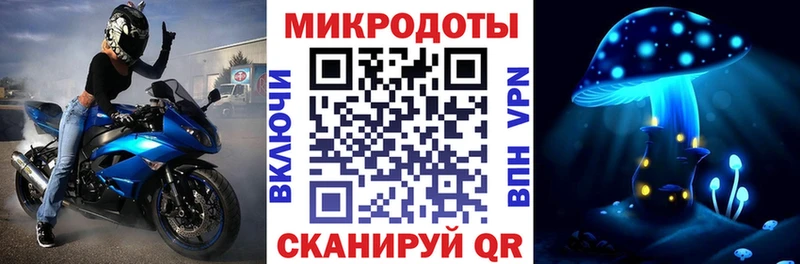 Псилоцибиновые грибы Psilocybe  Казань 