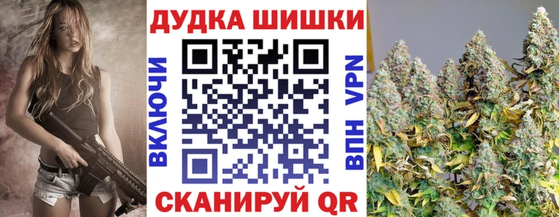 как найти наркотики Казань Каннабис сатива